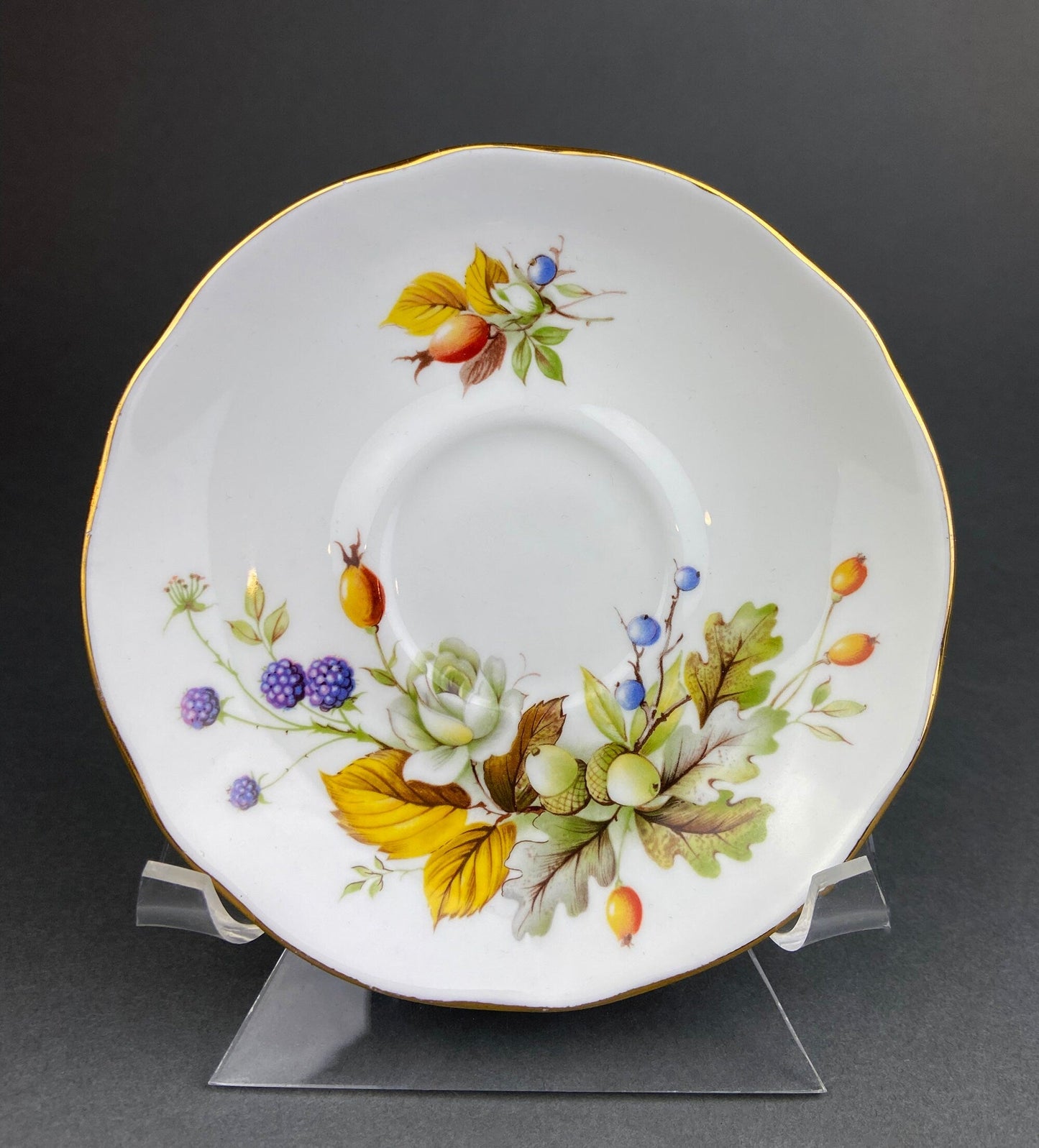 Duchess Tea Cup and Saucer. Autumn Motif Fine Bone China. Made in England.  Collectibles.  Replacements.