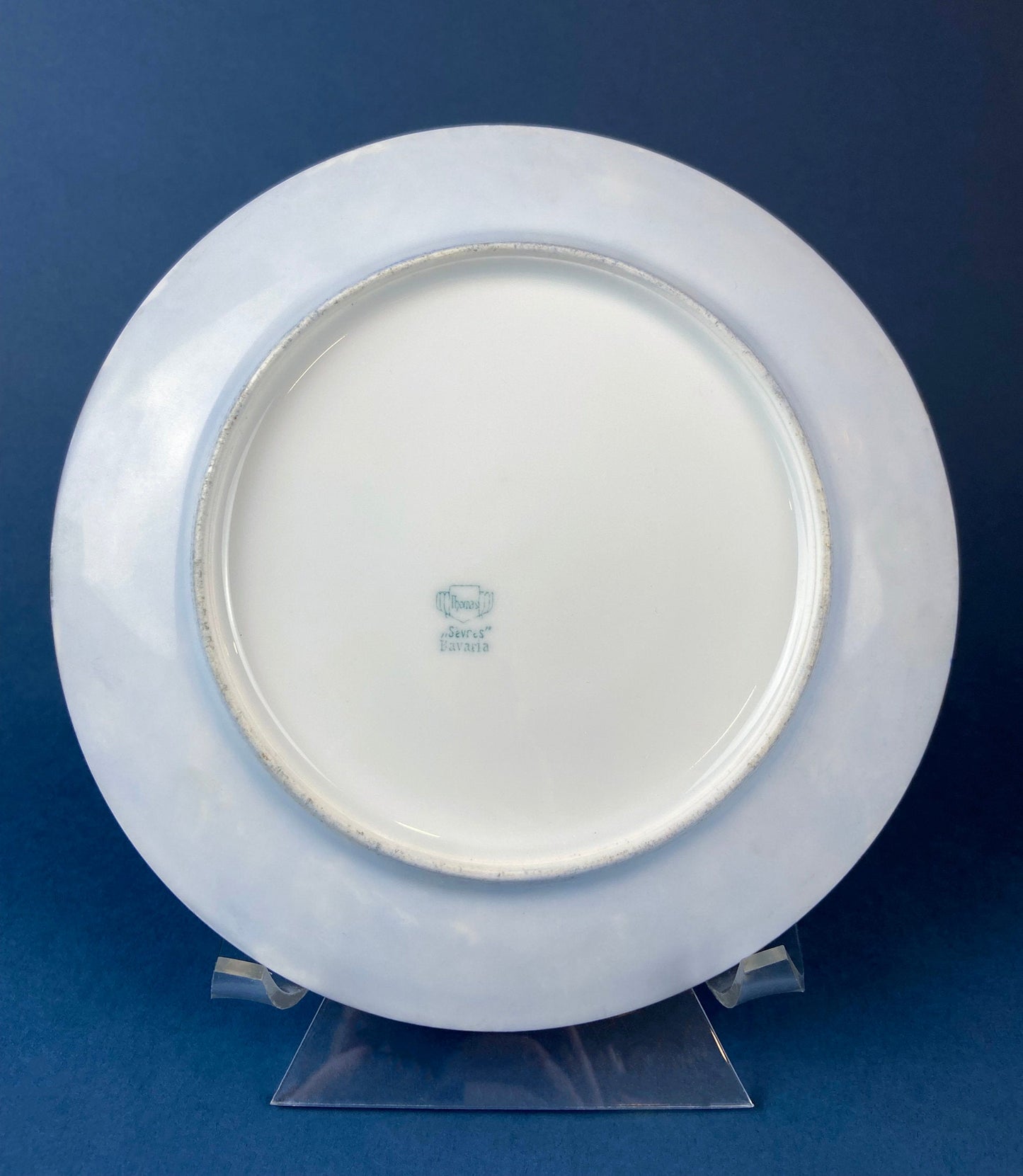 Forget me Not Set of Cup, Saucer, Dessert or Salad Plates, and Dinner Plates. Antique Hand Painted Porcelain Dishes. Breakfast Set.