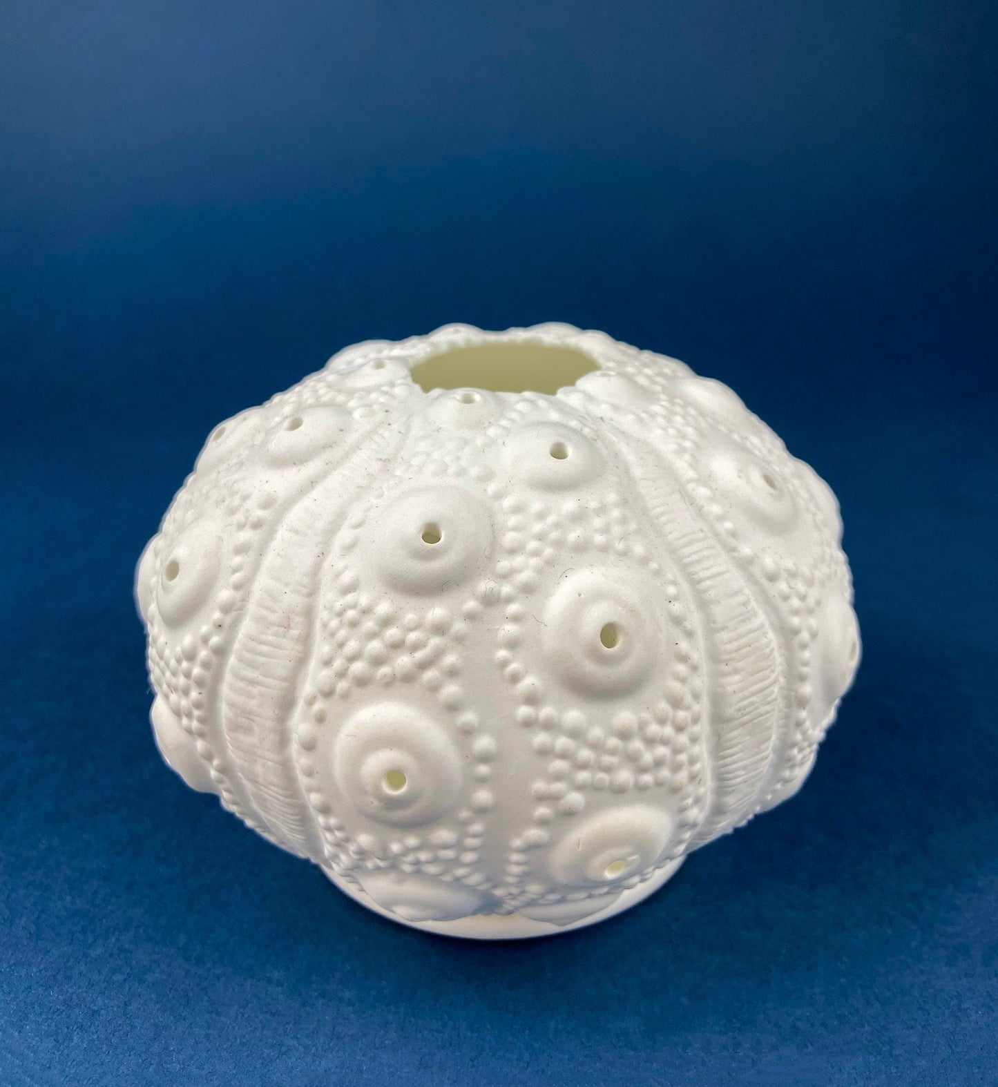 Belleek Cup and Saucer.  Sea Shell Pattern Tea Set Made of Dainty Porcelain in Ireland.  Antique Reg 0857.