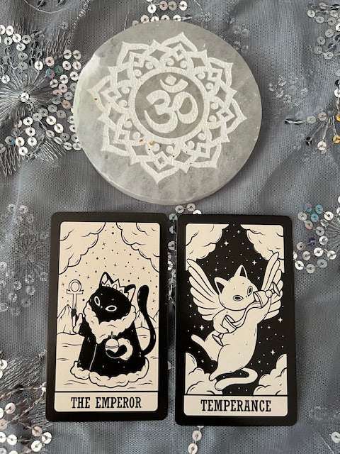 Forensic Tarot Module 1: The Evidentiary Record