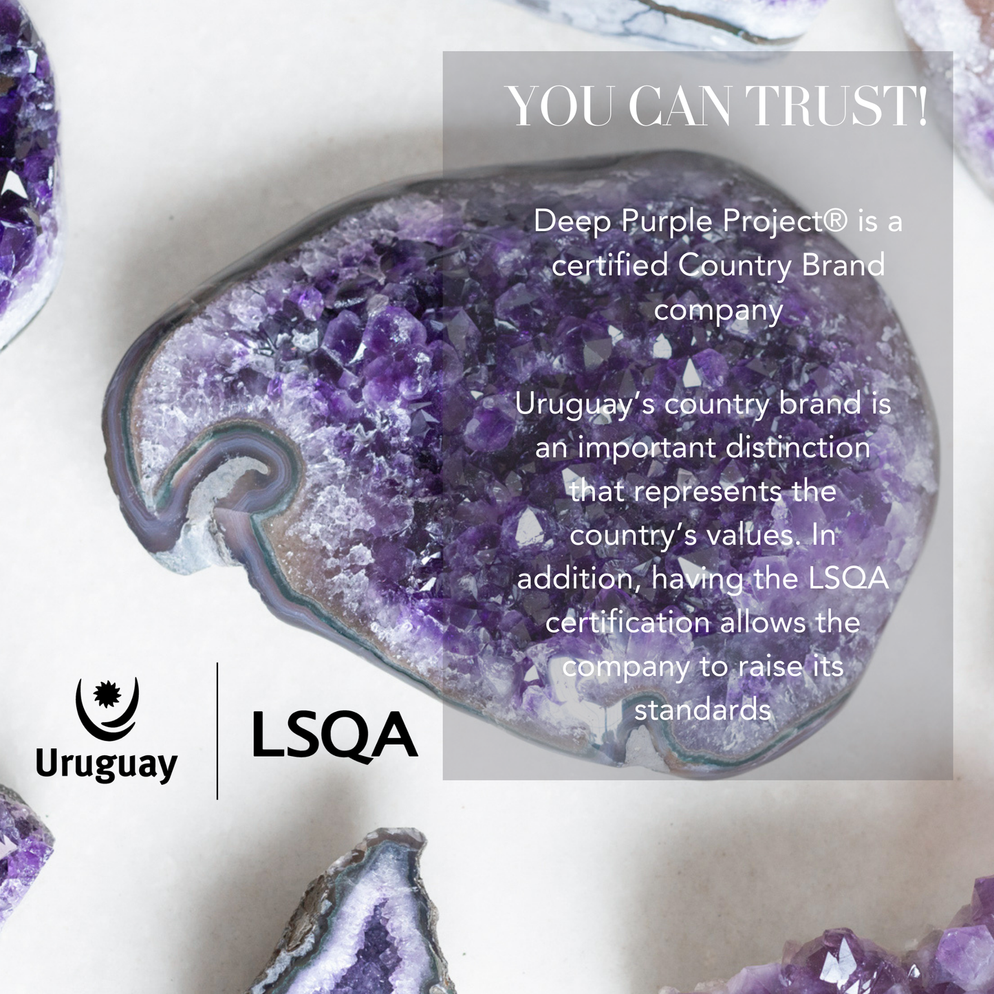 Largest amethyst geode