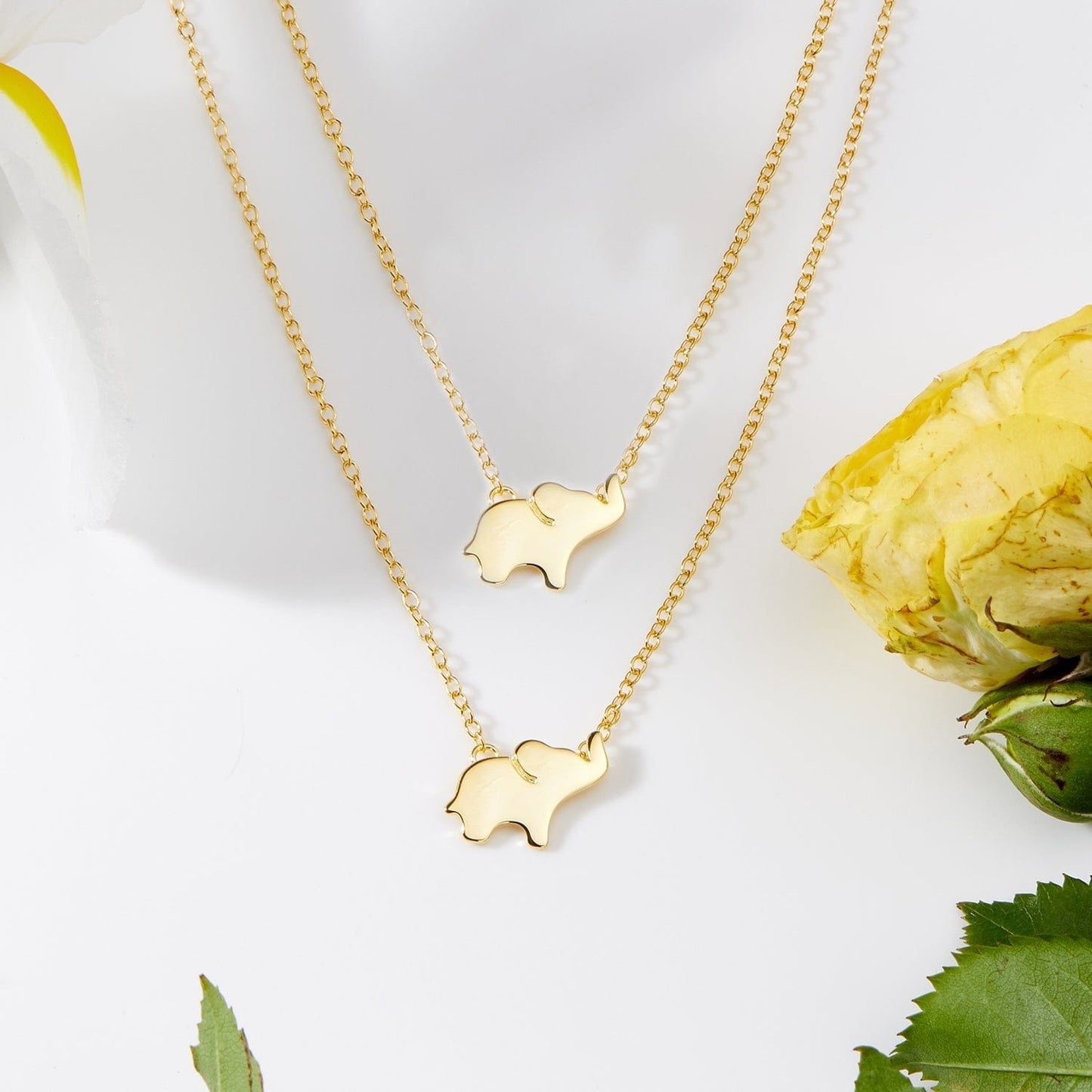 Professor Necklace, Multiple Styles Jewelry