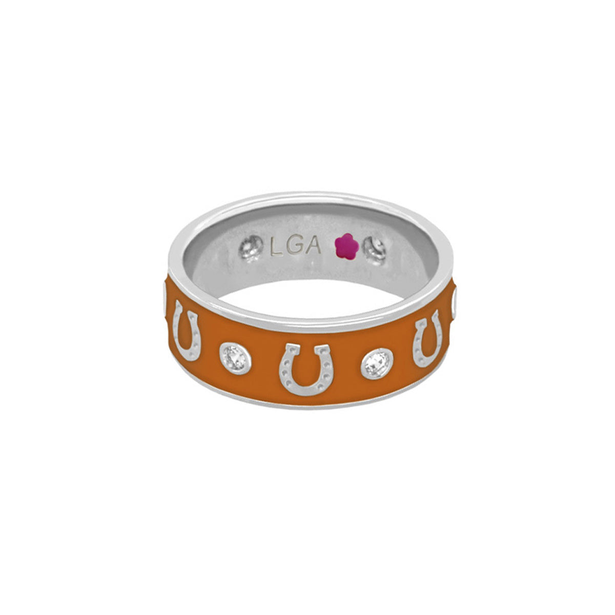 Horseshoe Equestrian Ring