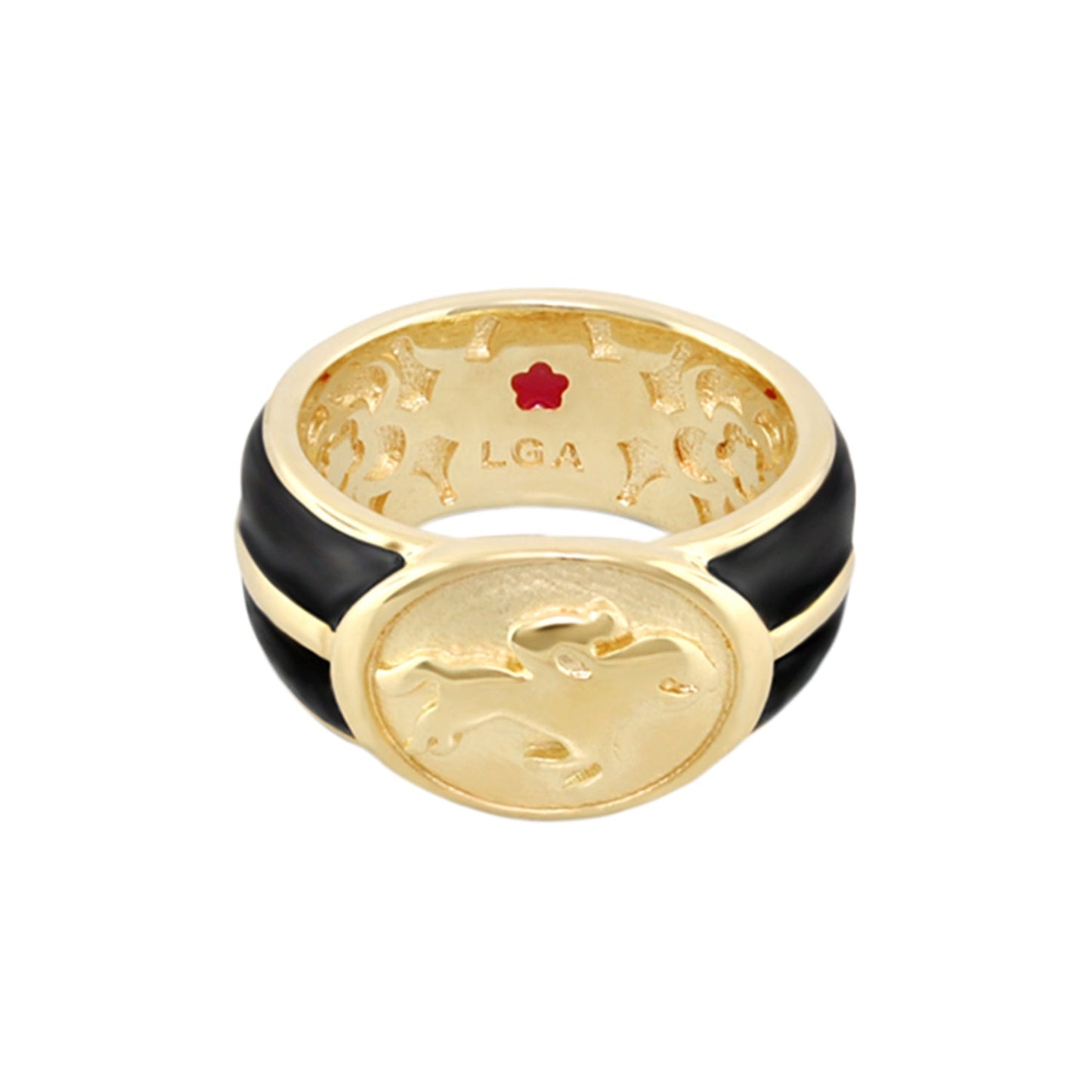 Equestrian Ring