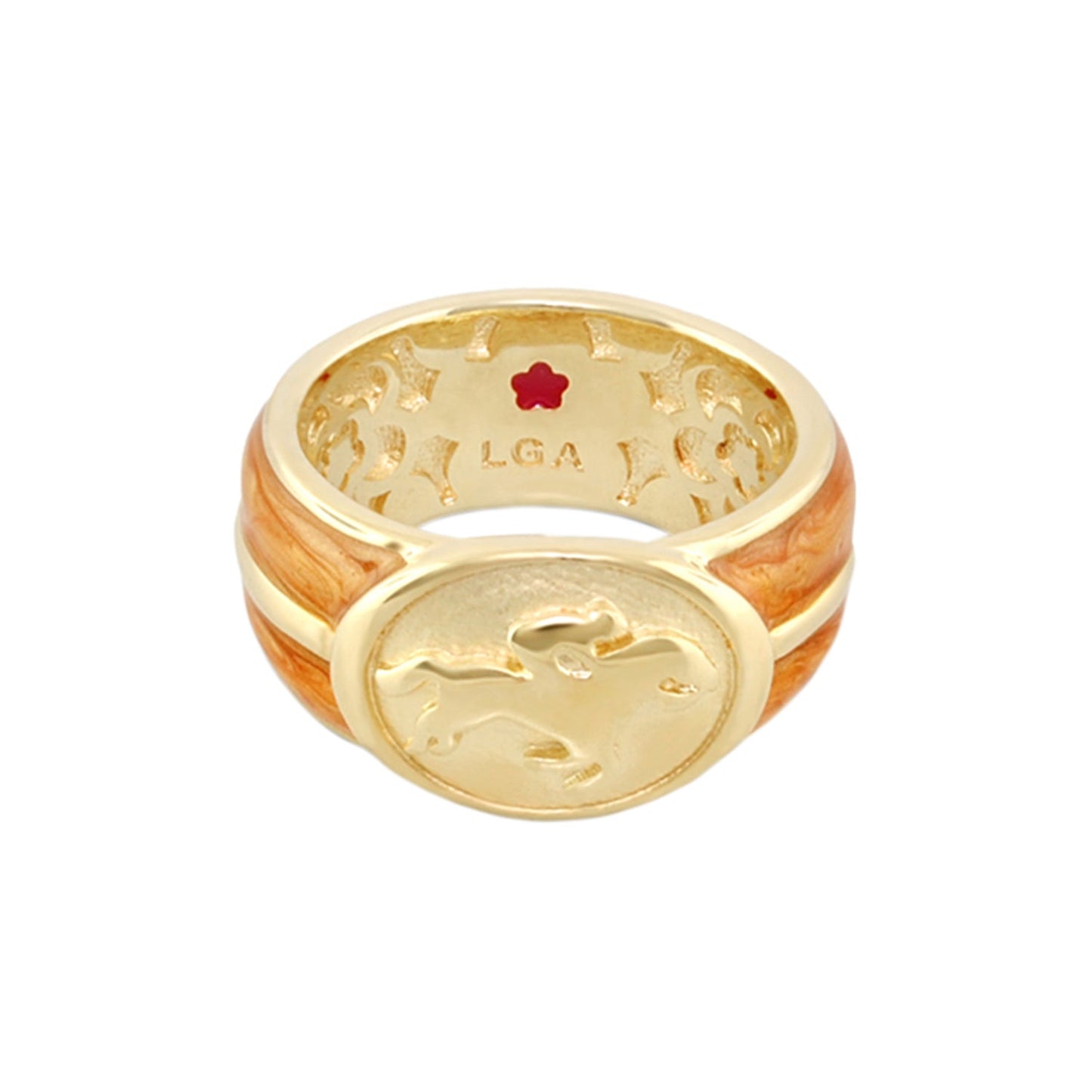 Equestrian Ring
