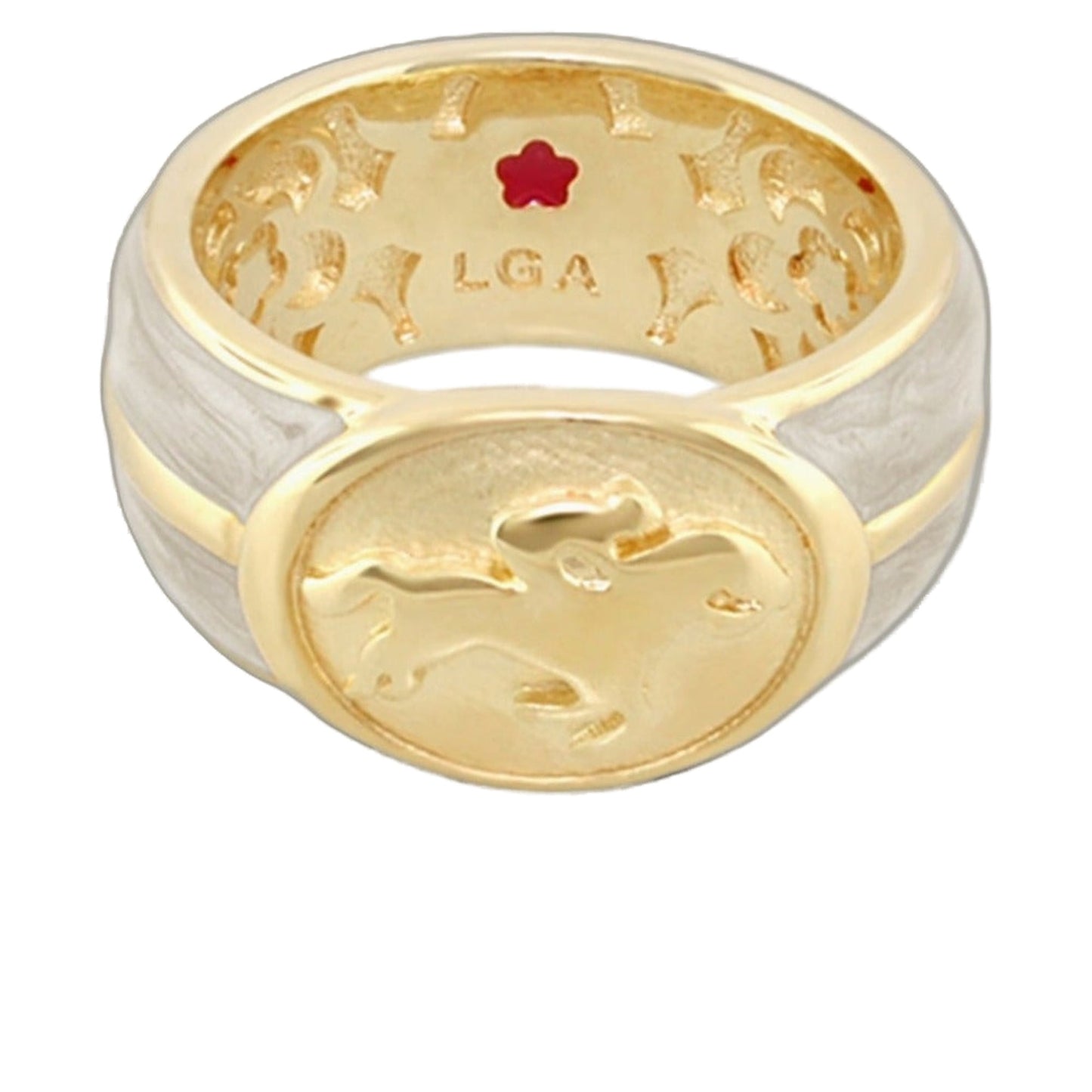 Equestrian Ring