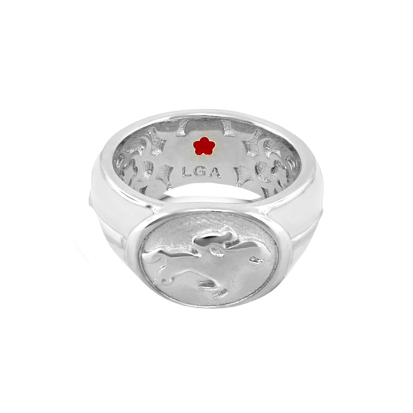 Equestrian Ring