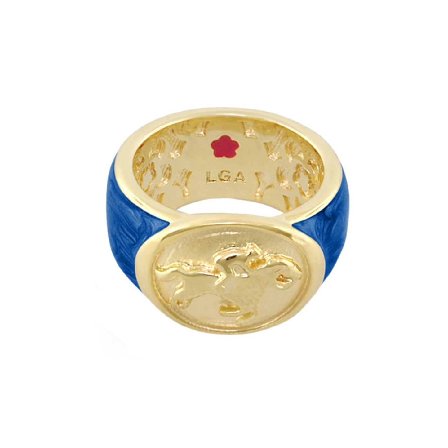 Equestrian Ring