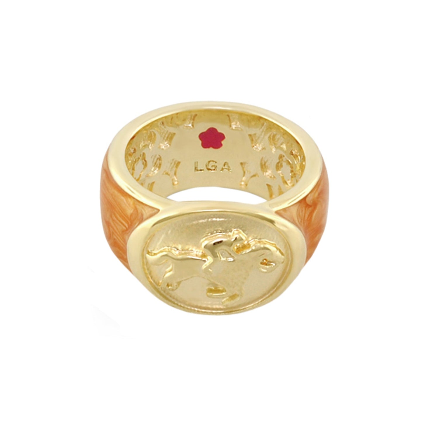 Equestrian Ring