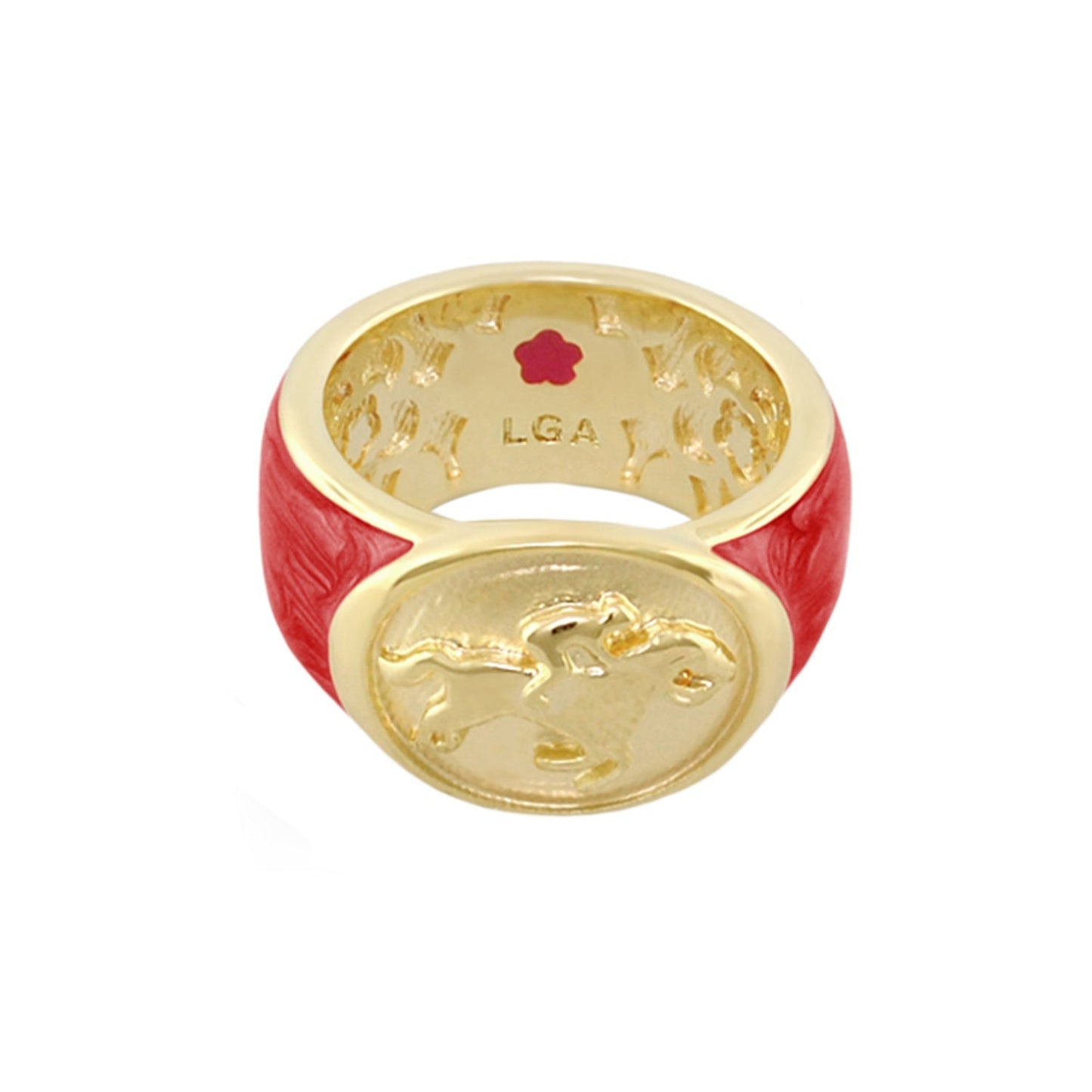 Equestrian Ring