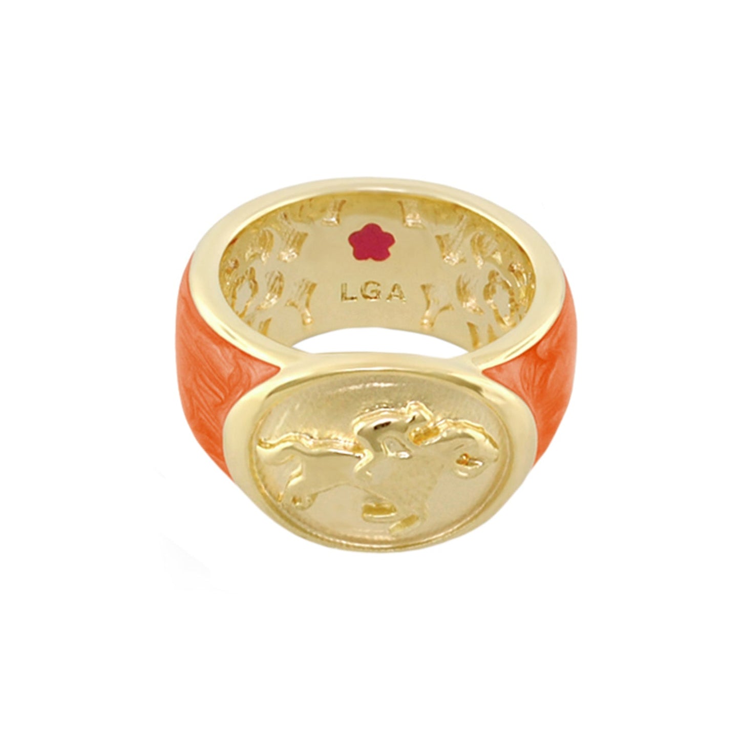 Equestrian Ring