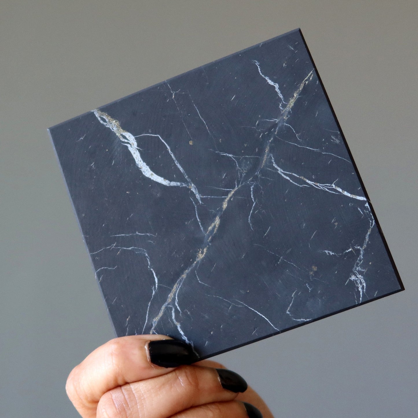 Shungite Charger Cleanser Protector Plate Square