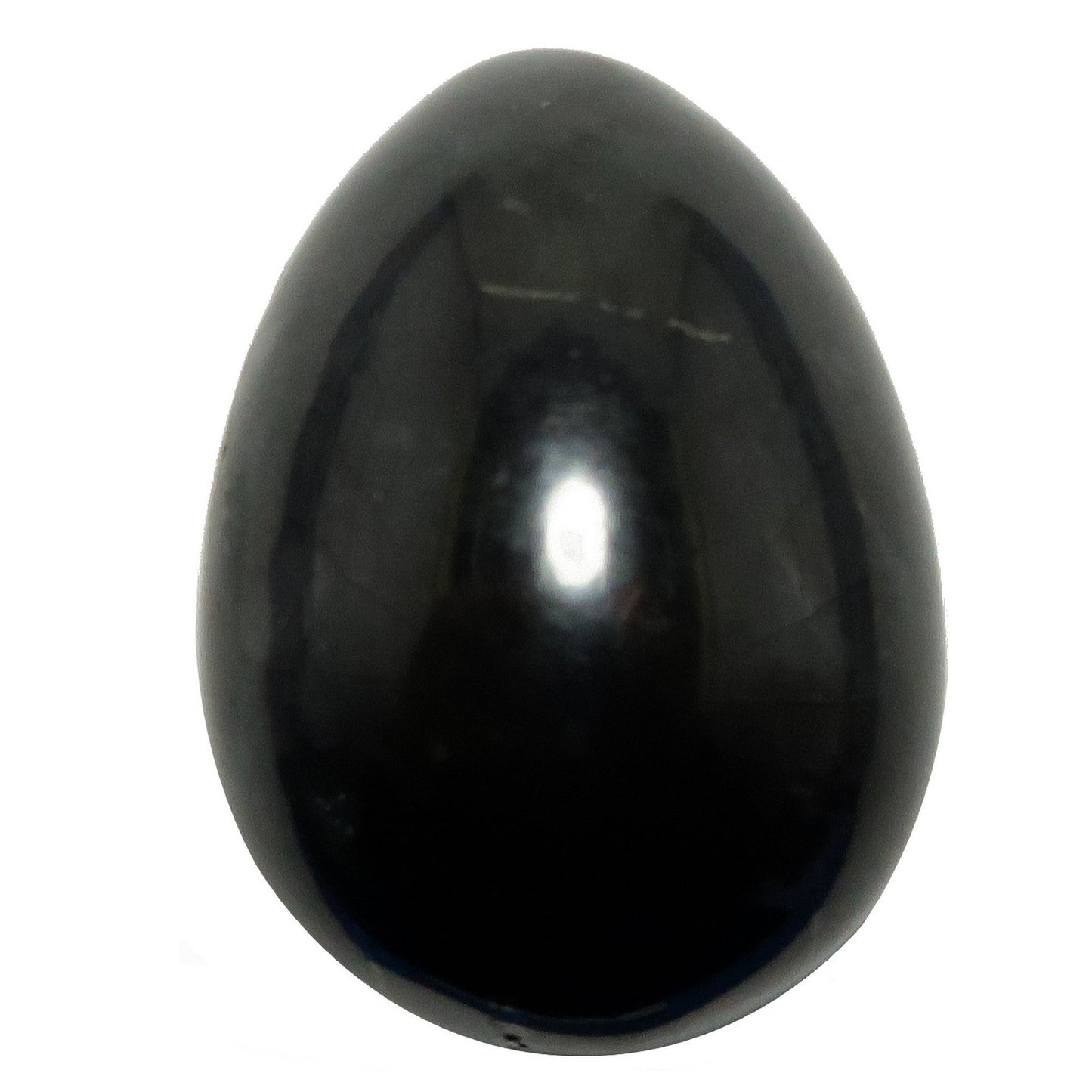 Shungite Egg Home EMF Protector Black Stone