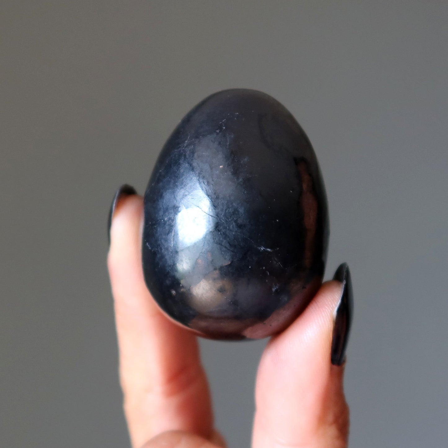 Shungite Egg Home EMF Protector Black Stone