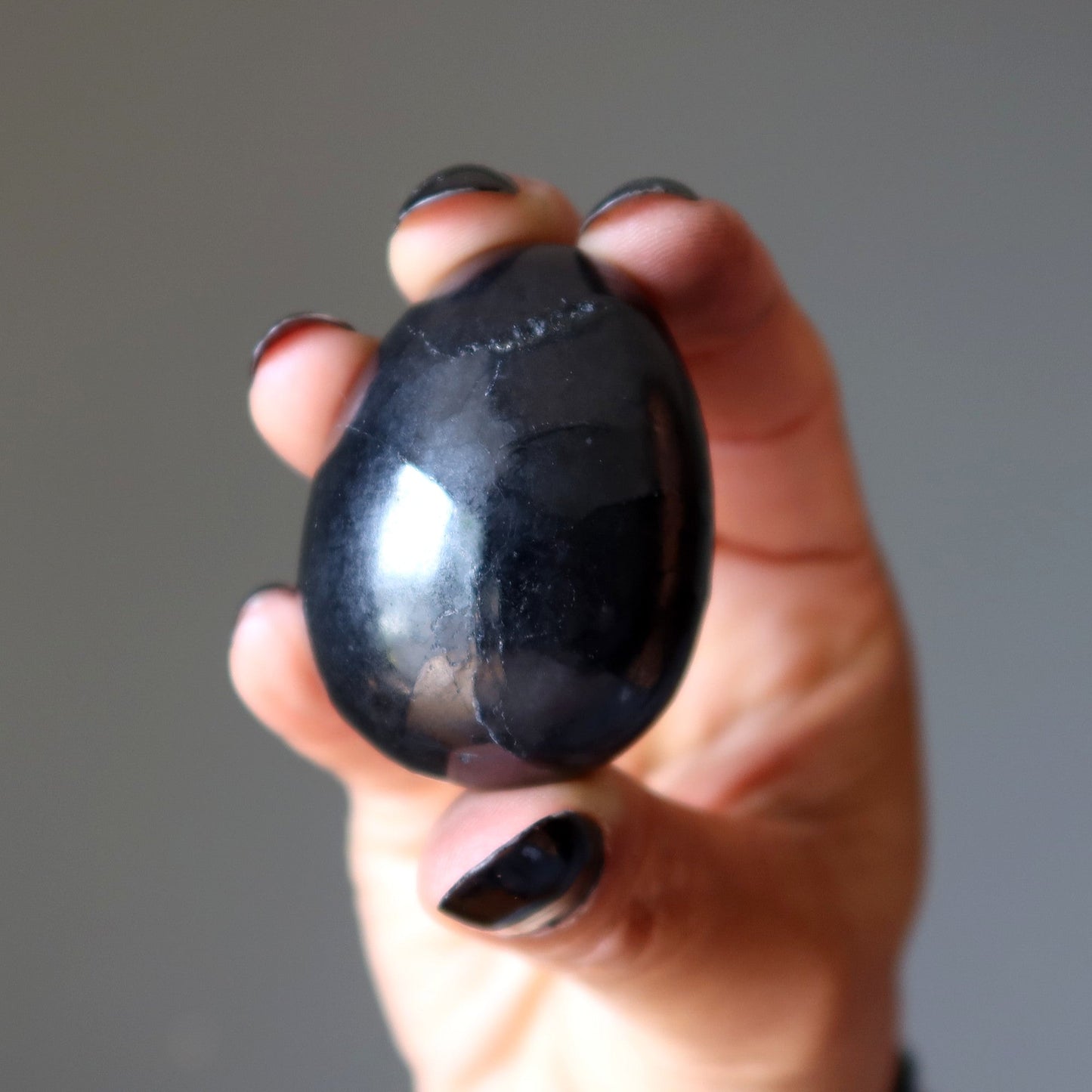 Shungite Egg Home EMF Protector Black Stone